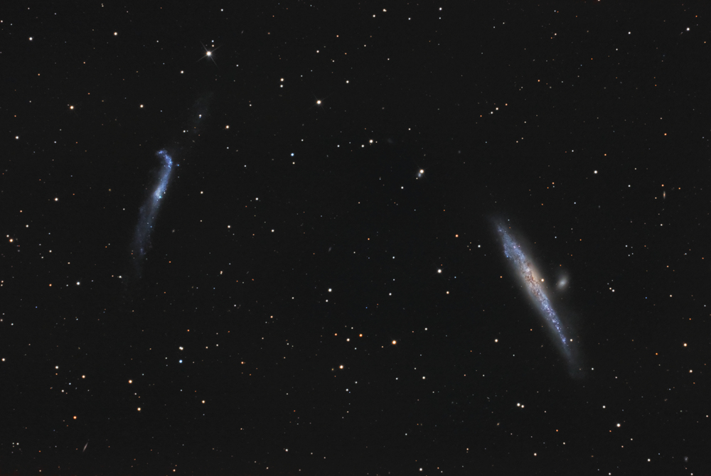 NGC 4631 & NGC 4656